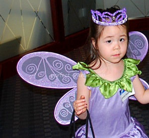 fairy costume