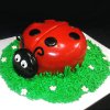 ladybug cakes