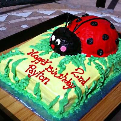 Ladybug Cake