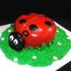 Red Ladybug Cake