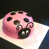Pink Ladybug Cake